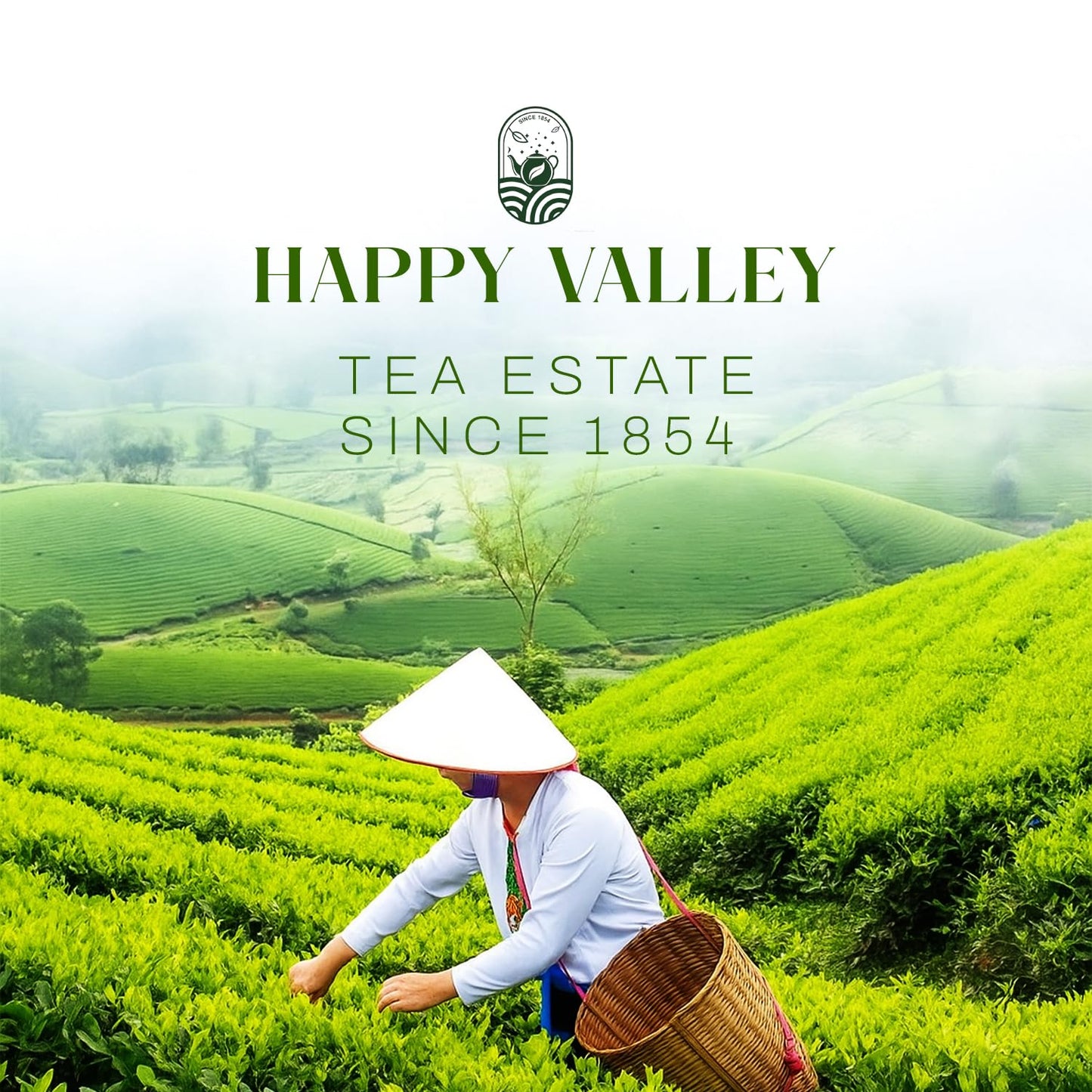 Person working in a tea field with 'Happy Valley Tea Estate' branding.