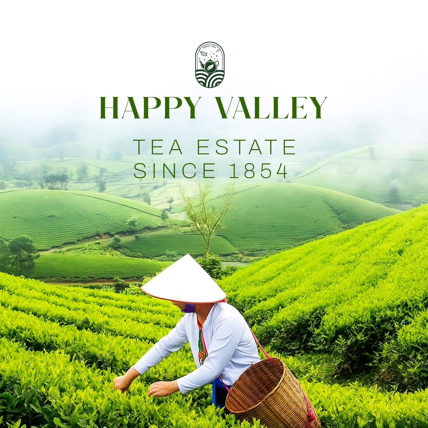 Darjeeling tea garden lifestyle image representing Happy Valley green tea origin.